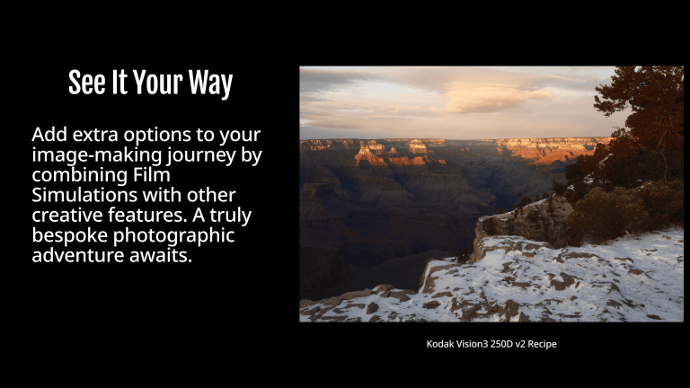 Fuji X Weekly – Ritchie Roesch